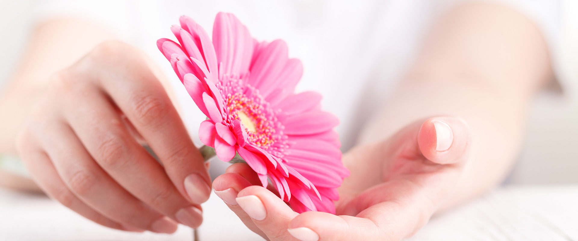 メインビジュアル1